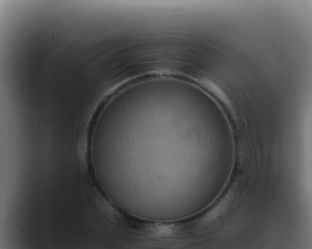 X0000089690831200706281414