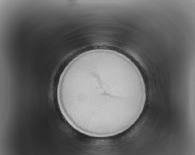 X0000089690832200706281414