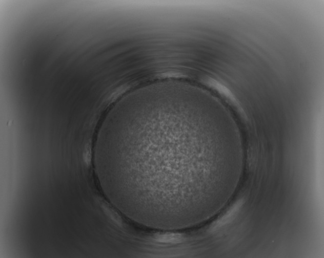 X0000089690833200706281414