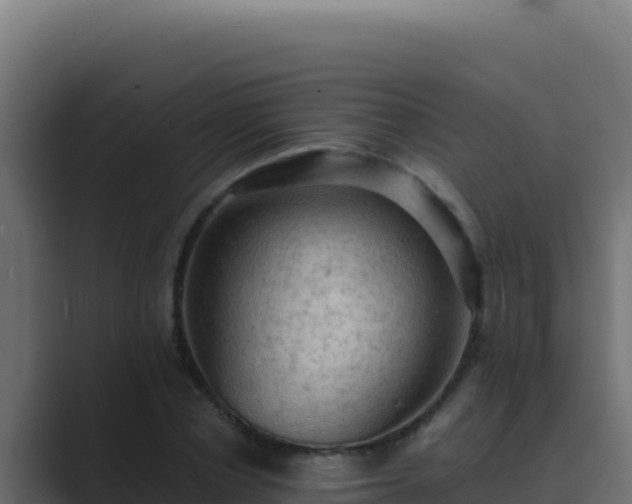 X0000089690834200706281414