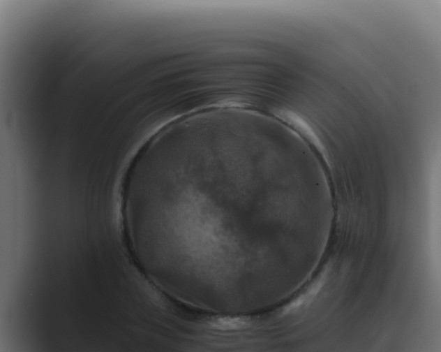 X0000089690835200706281414