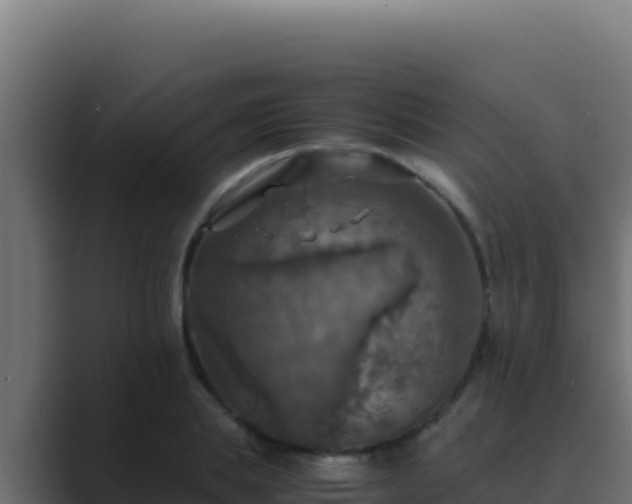 X0000089690839200706281414