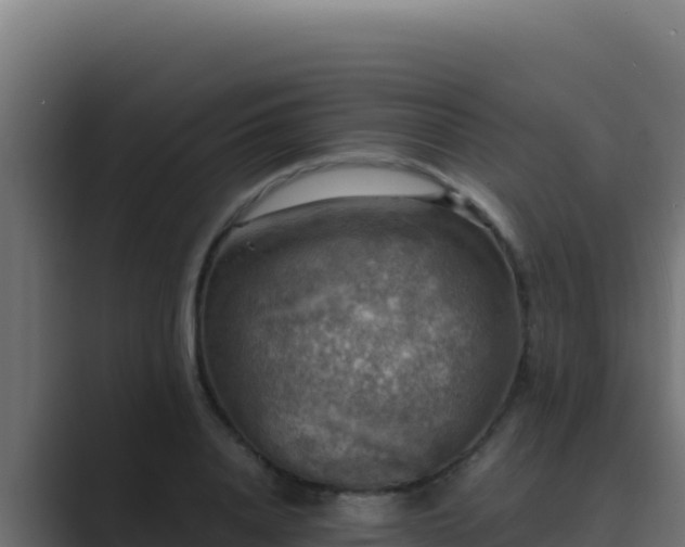 X0000089690840200706281414