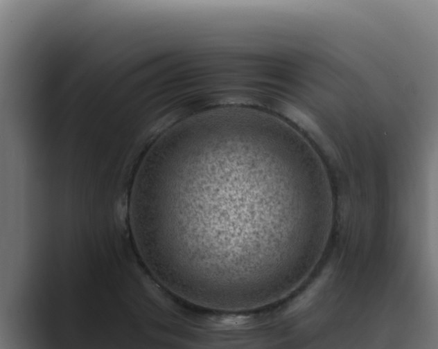 X0000089690841200706281414