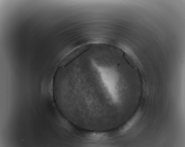 X0000089690842200706281414