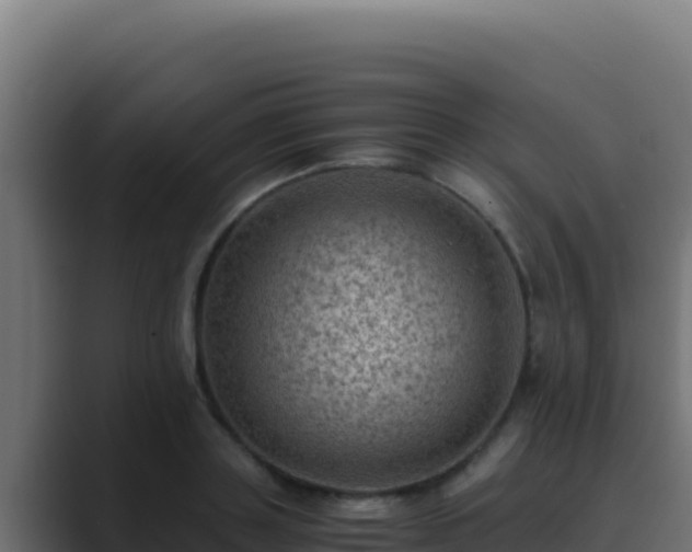 X0000089690843200706281414