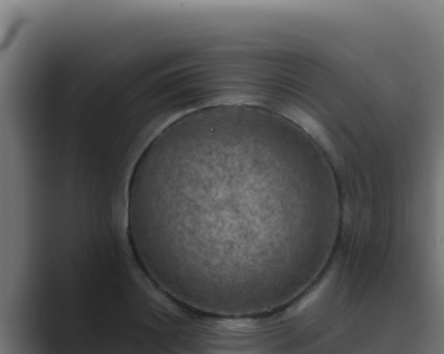 X0000089690844200706281414