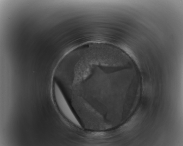 X0000089690845200706281414