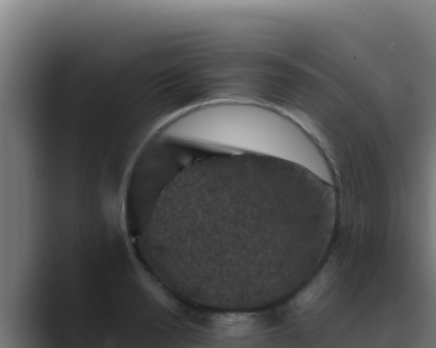 X0000089690846200706281414