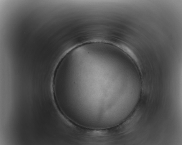 X0000089690847200706281414