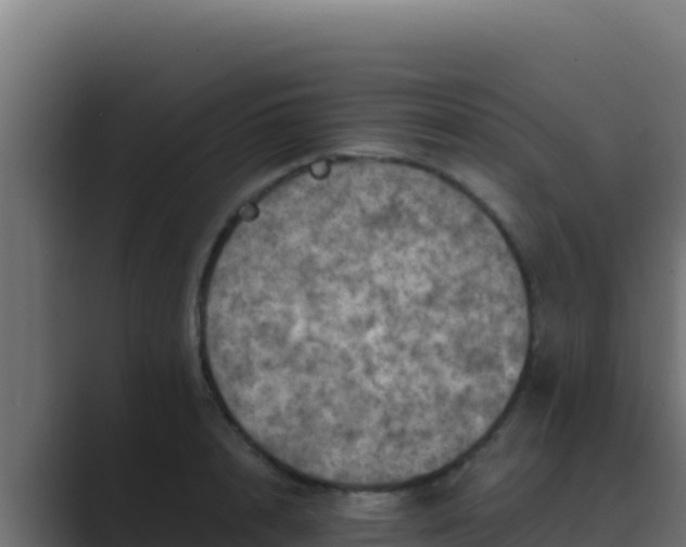 X0000089690848200706281414