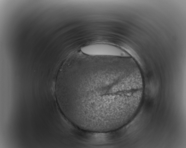 X0000089690849200706281414