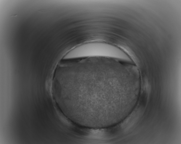 X0000089690850200706281414