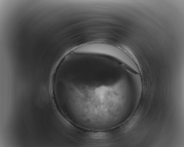 X0000089690851200706281414