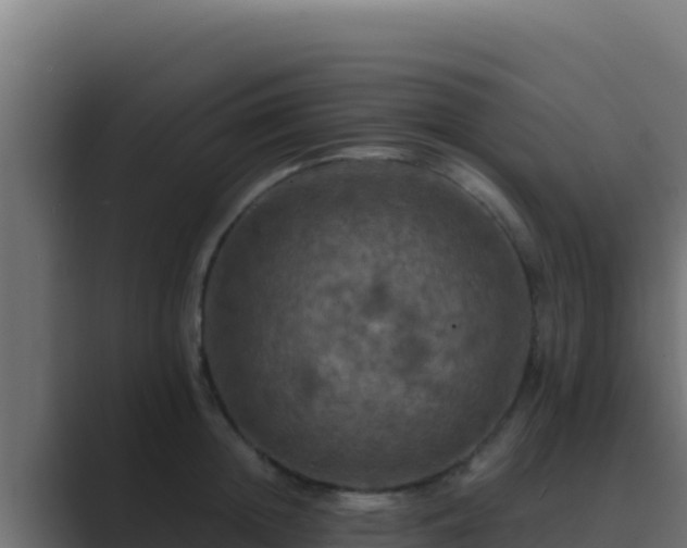 X0000089690852200706281414