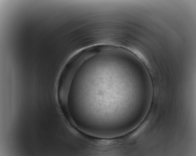 X0000089690854200706281414