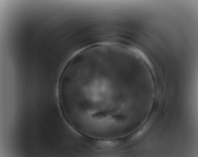 X0000089690855200706281414