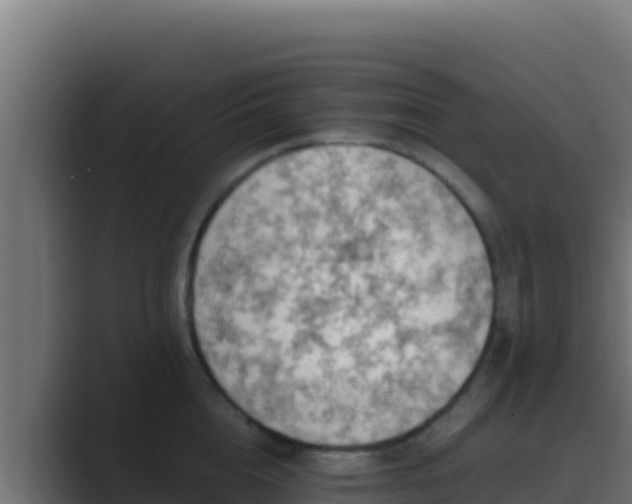 X0000089690856200706281414