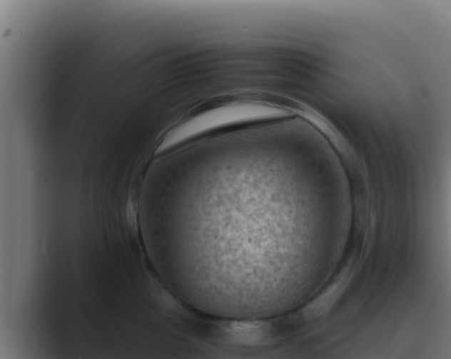 X0000089690857200706281414