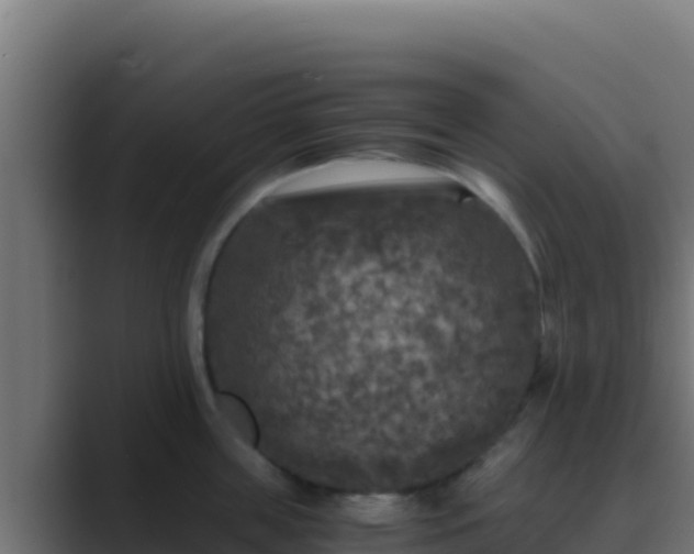 X0000089690859200706281414