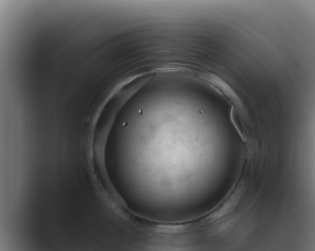 X0000089690860200706281414