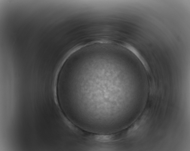 X0000089690861200706281414