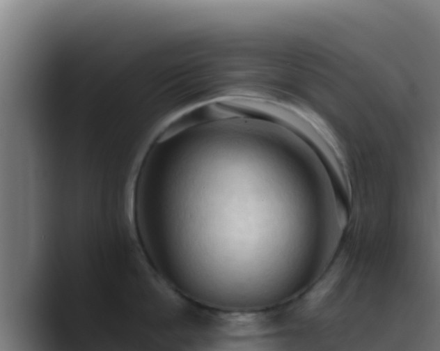 X0000089690862200706281414