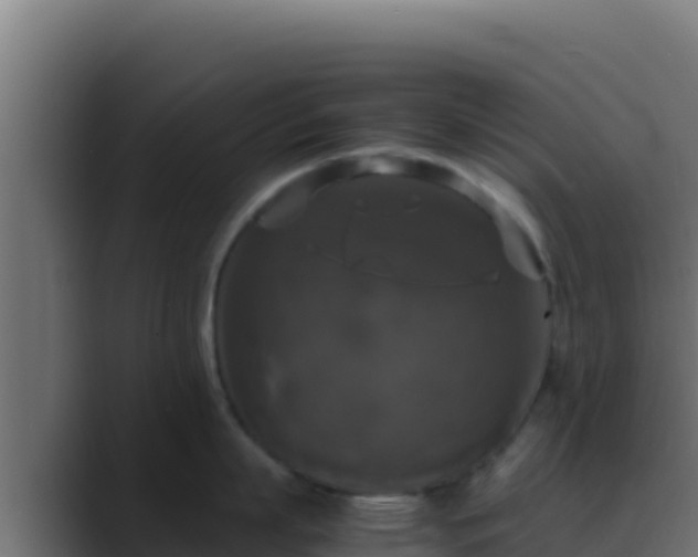 X0000089690863200706281414