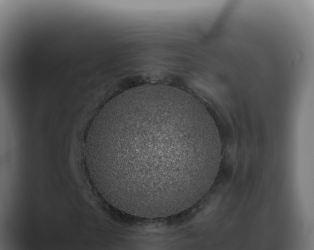 X0000089690865200706281414