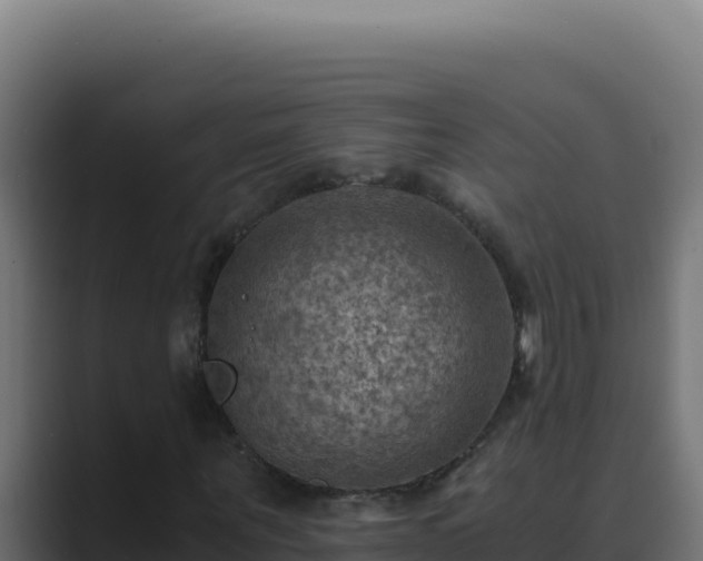 X0000089690867200706281414