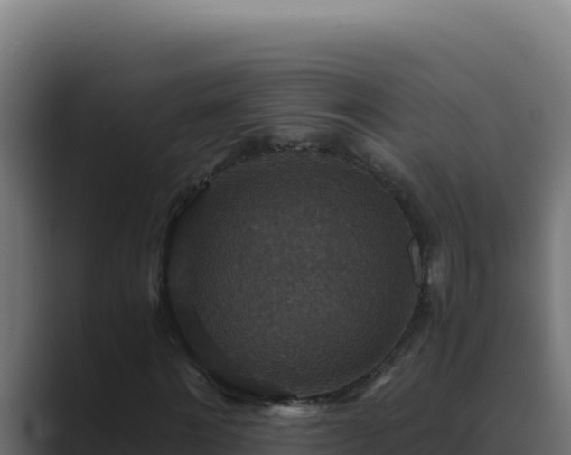 X0000089690868200706281414