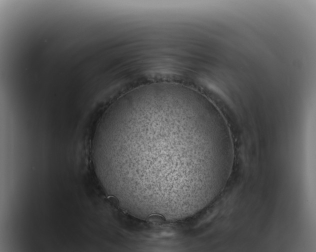 X0000089690870200706281414