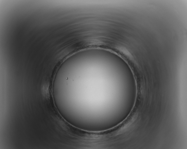 X0000089690873200706281414