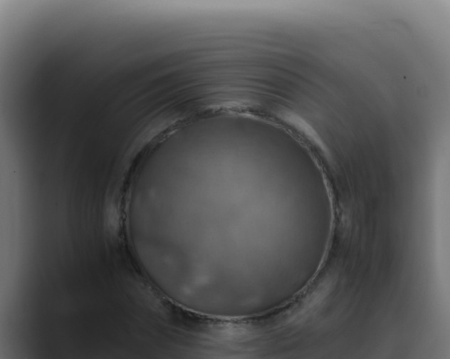 X0000089690874200706281414