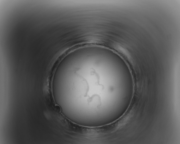 X0000089690875200706281414