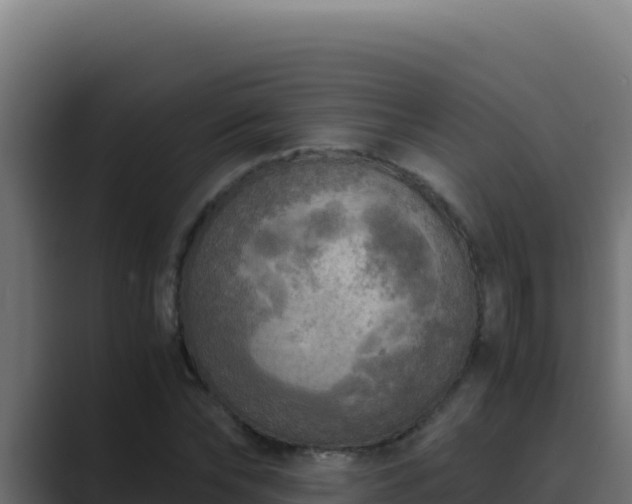 X0000089690878200706281414