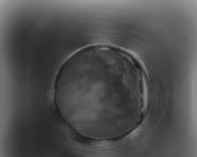 X0000089690879200706281414