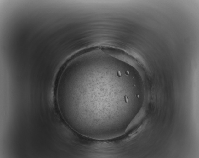 X0000089690880200706281414