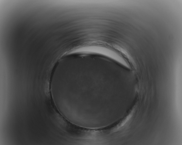 X0000089690881200706281414