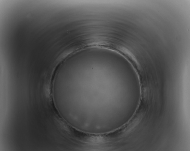 X0000089690882200706281414