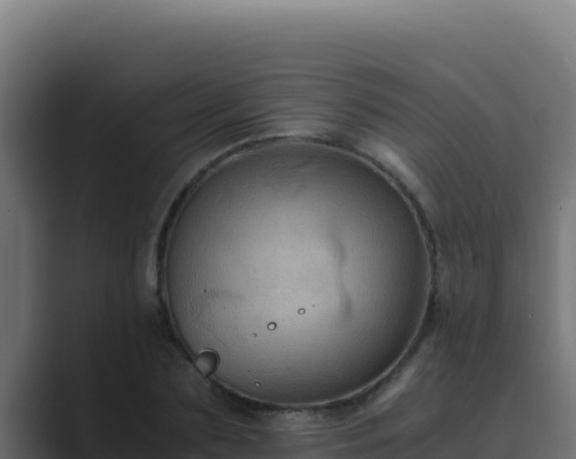 X0000089690883200706281414