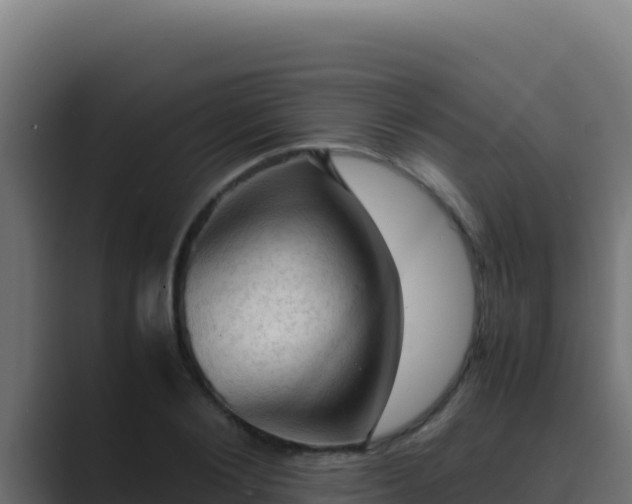 X0000089690884200706281414