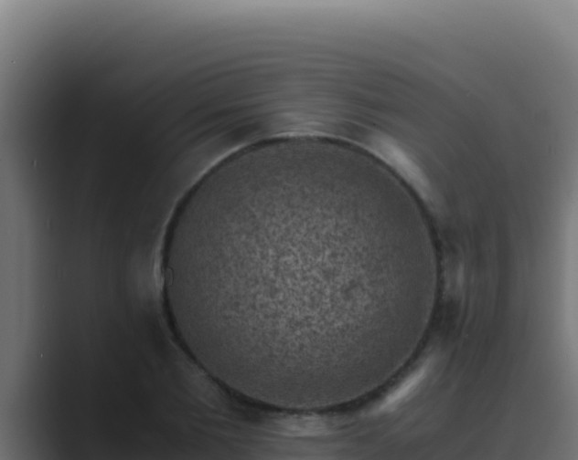 X0000089690885200706281414