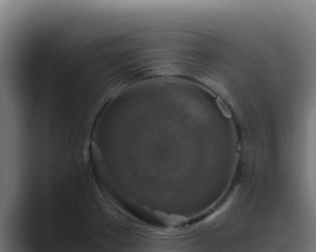 X0000089690889200706281414