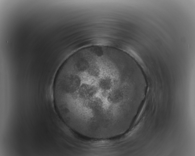 X0000089690891200706281414