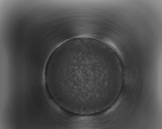 X0000089690892200706281414