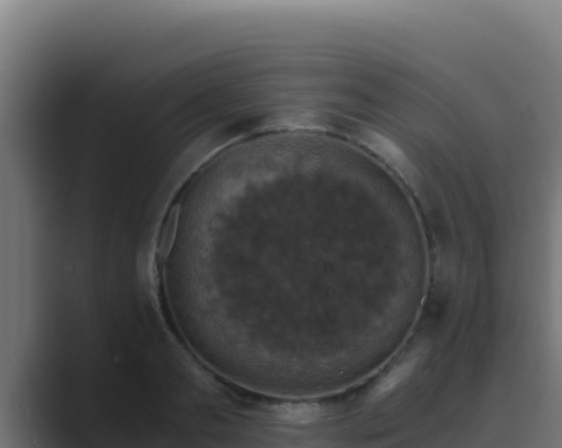 X0000089690893200706281413