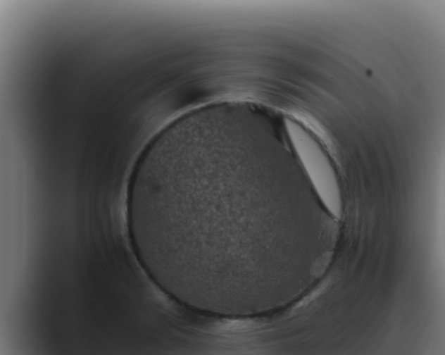 X0000089690894200706281413