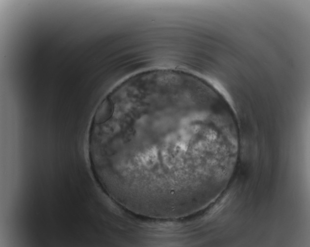 X0000089690895200706281413