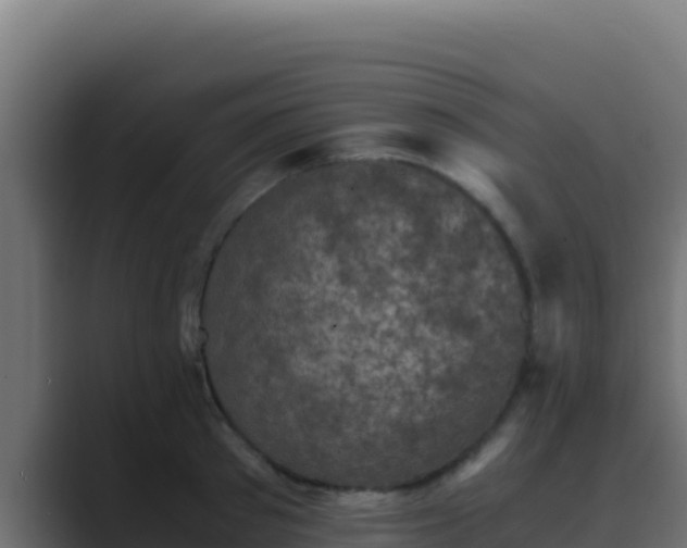 X0000089690897200706281413